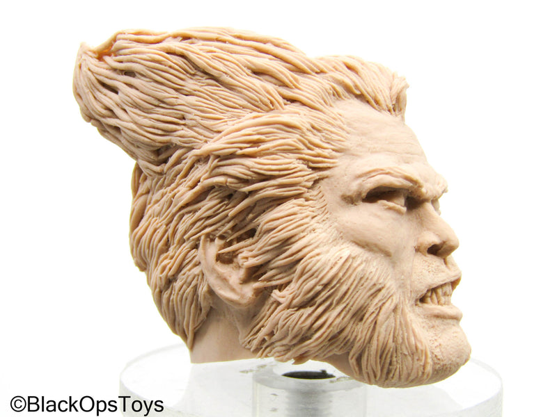 Load image into Gallery viewer, Custom Unpainted Male Headsculpt In Wolverine Likeness

