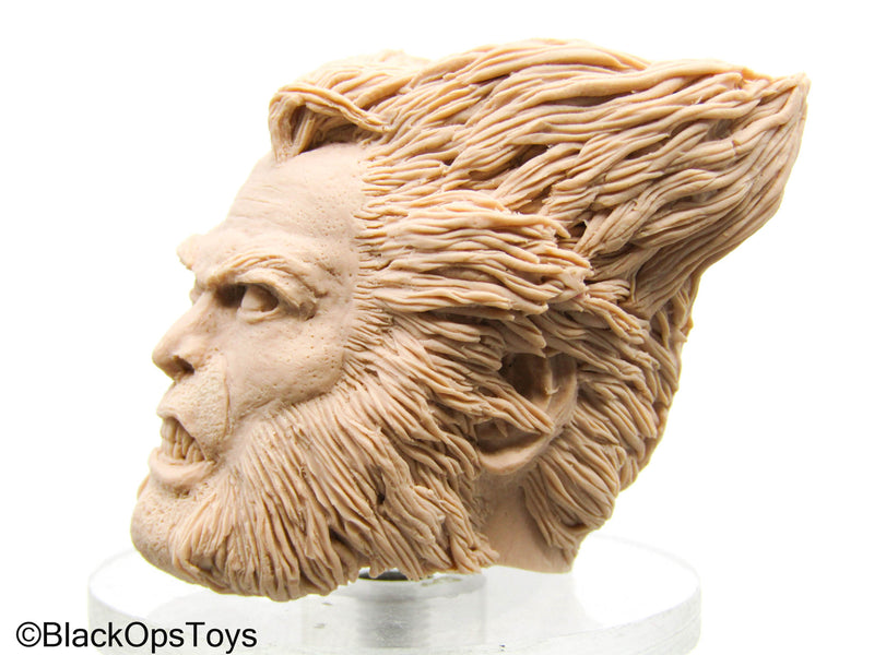 Load image into Gallery viewer, Custom Unpainted Male Headsculpt In Wolverine Likeness
