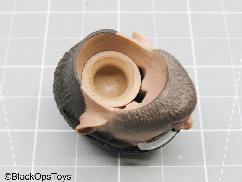 Load image into Gallery viewer, Male Headsculpt w/Black Tactical Sunglasses
