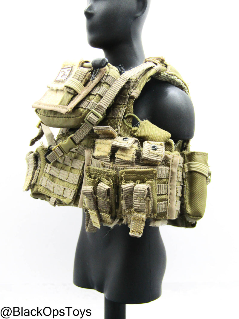 Load image into Gallery viewer, 1st Marine Spec. Op. BN - Tan Plate Carrier w/Pouch Set Type 1
