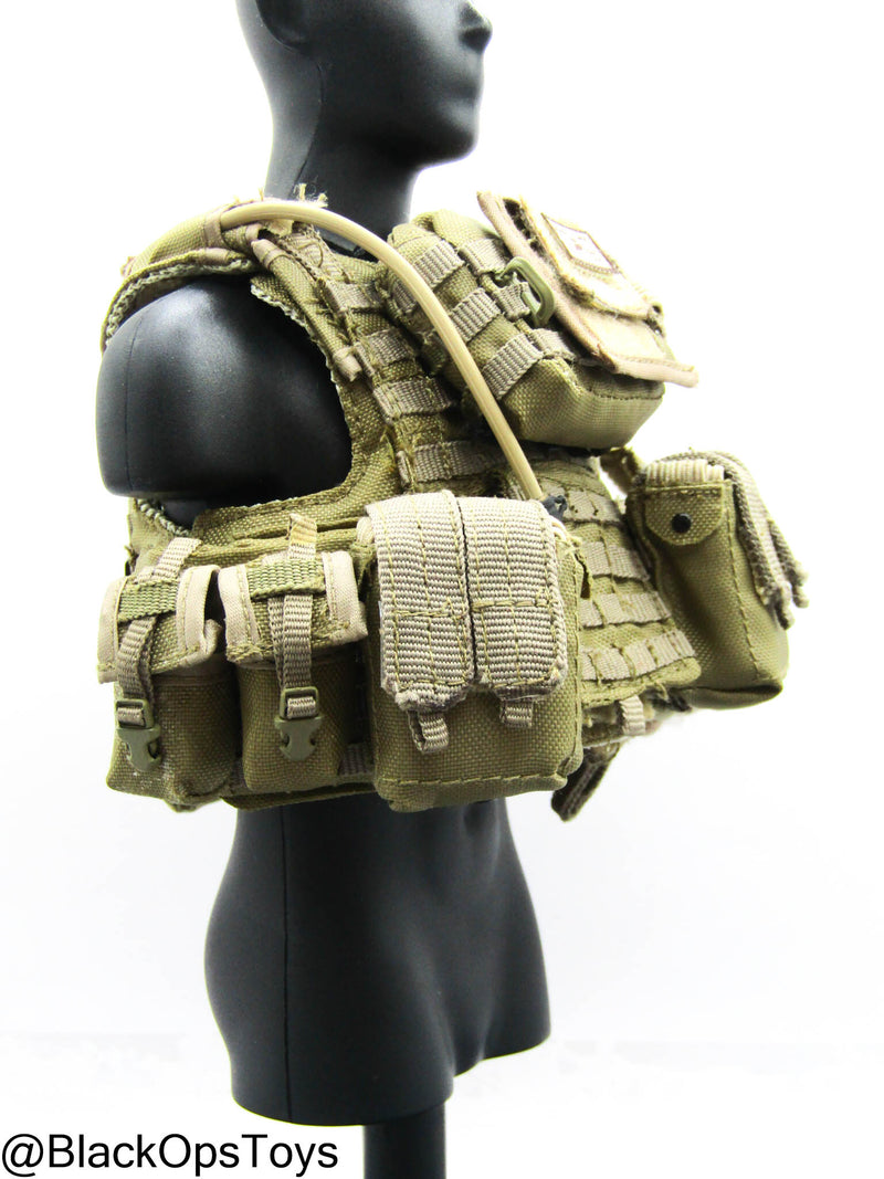 Load image into Gallery viewer, 1st Marine Spec. Op. BN - Tan Plate Carrier w/Pouch Set Type 2
