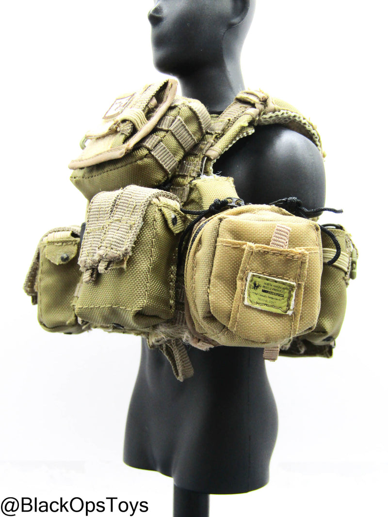 Load image into Gallery viewer, 1st Marine Spec. Op. BN - Tan Plate Carrier w/Pouch Set Type 2
