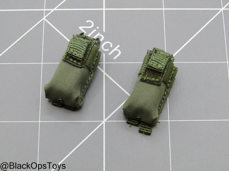 Load image into Gallery viewer, SDU Assault Team - Radio Pouch (x2)
