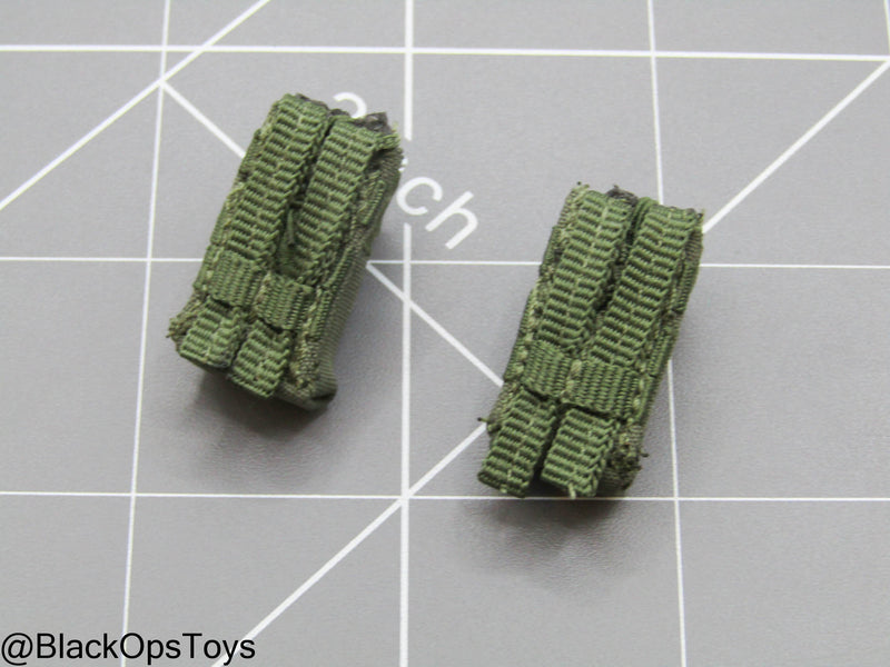 Load image into Gallery viewer, SDU Assault Team - Radio Pouch (x2)
