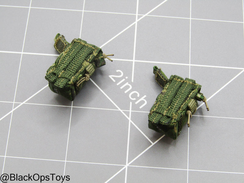 Load image into Gallery viewer, SDU Assault Team - Multicam Tropic 5.56 Mag Pouch (x2)

