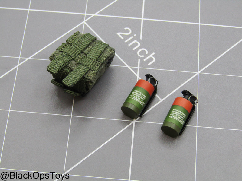 Load image into Gallery viewer, SDU Assault Team - Flashbang Grenades w/Pouch
