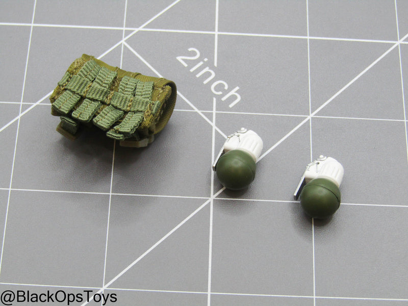 Load image into Gallery viewer, FSB Alpha Team Leader R - Grenades w/Dual Cell Grenade Pouch
