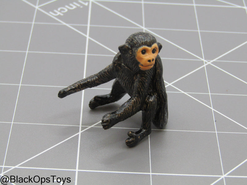 Load image into Gallery viewer, Bam 1/6 Monkey (Toy Soldier)
