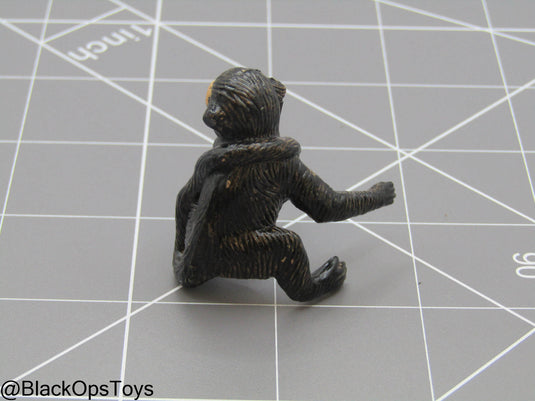 Bam 1/6 Monkey (Toy Soldier)