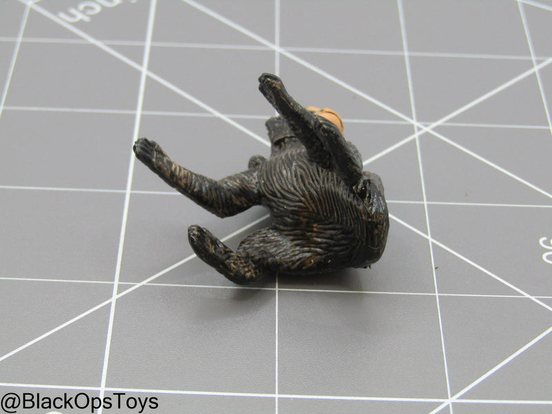 Load image into Gallery viewer, Bam 1/6 Monkey (Toy Soldier)
