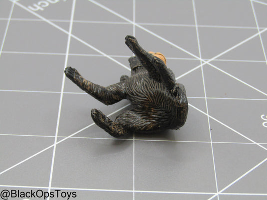 Bam 1/6 Monkey (Toy Soldier)