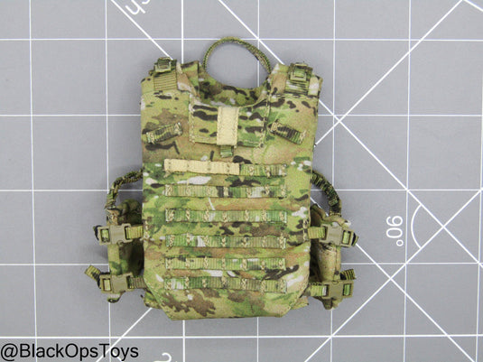 101st Airborne Div. - OCP Multicam Plate Carrier