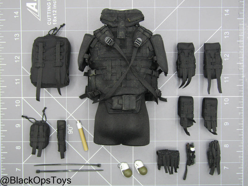 Load image into Gallery viewer, Russian Spetsnaz MVD SOBR - Fort Redut-5T Plate Carrier w/Gear
