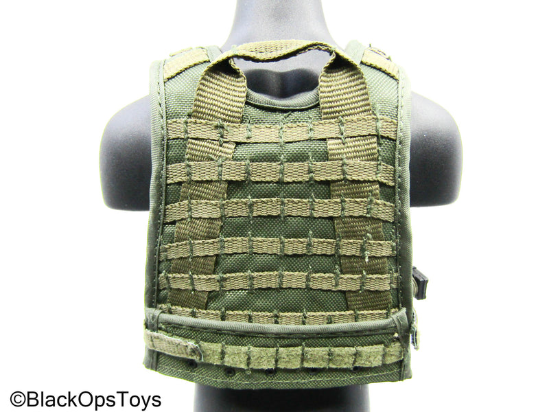 Load image into Gallery viewer, OD Green MOLLE Plate Carrier Vest w/Mag &amp; Pouch Set (Hot Toys)
