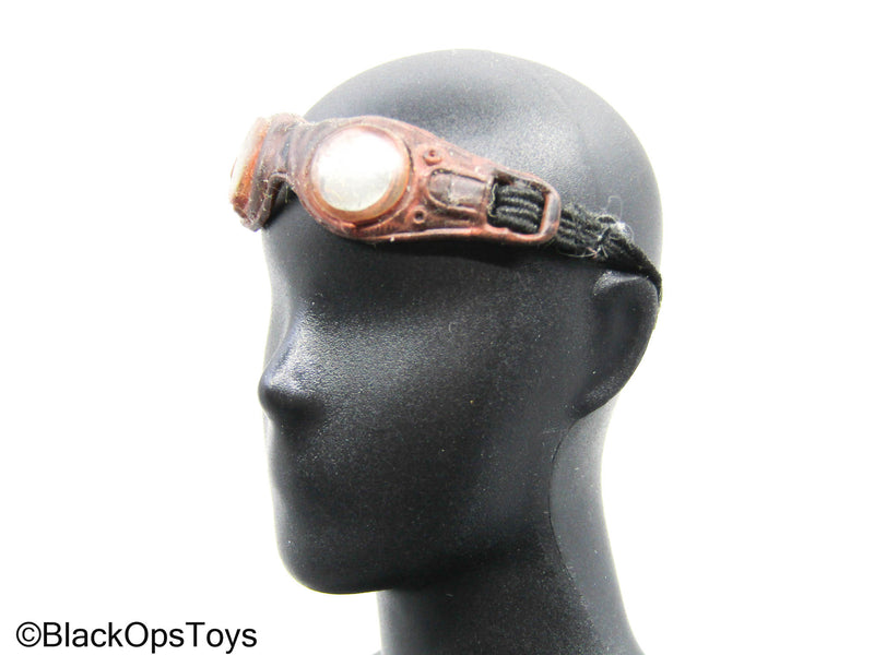 Load image into Gallery viewer, Brown Goggles
