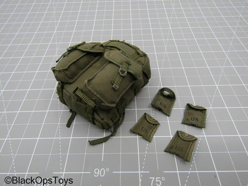 Load image into Gallery viewer, Vietnam Era Alice Pack w/Frame (Hot Toys)

