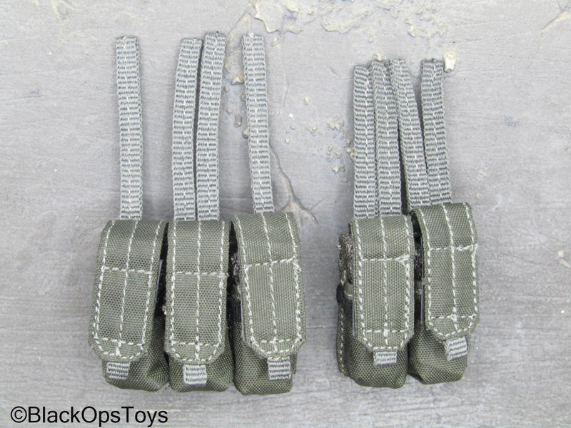 Load image into Gallery viewer, ZERT AMG Juggernaut - Wolf Grey MOLLE 556 Mag Pouch Set
