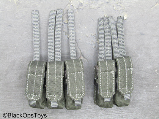 ZERT AMG Juggernaut - Wolf Grey MOLLE 556 Mag Pouch Set