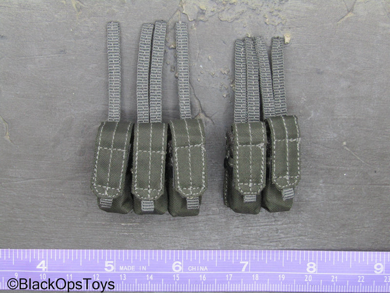 Load image into Gallery viewer, ZERT AMG Juggernaut - Wolf Grey MOLLE 556 Mag Pouch Set
