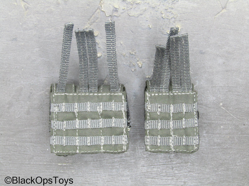 Load image into Gallery viewer, ZERT AMG Juggernaut - Wolf Grey MOLLE 556 Mag Pouch Set
