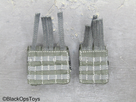 ZERT AMG Juggernaut - Wolf Grey MOLLE 556 Mag Pouch Set