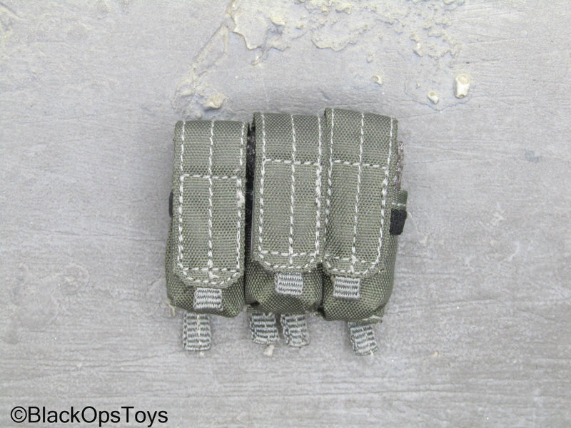Load image into Gallery viewer, ZERT AMG Juggernaut - Wolf Grey MOLLE 556 Triple Mag Pouch
