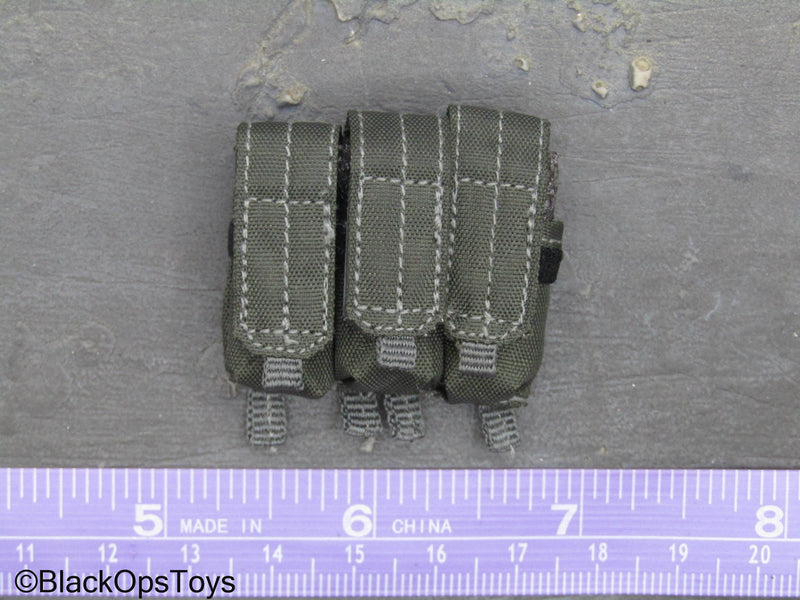 Load image into Gallery viewer, ZERT AMG Juggernaut - Wolf Grey MOLLE 556 Triple Mag Pouch
