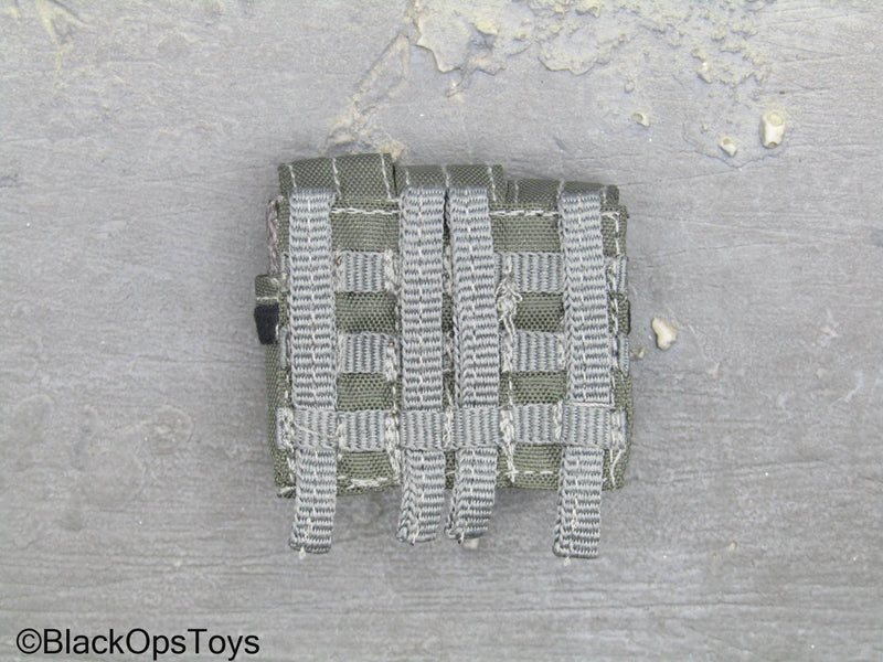 Load image into Gallery viewer, ZERT AMG Juggernaut - Wolf Grey MOLLE 556 Triple Mag Pouch
