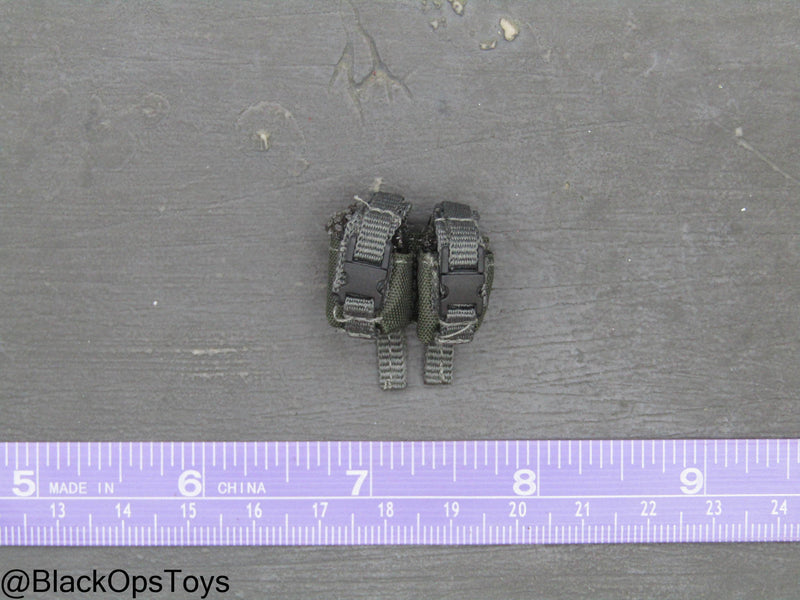 Load image into Gallery viewer, ZERT AMG Juggernaut - Wolf Grey MOLLE Dual Cell Frag Grenade Pouch
