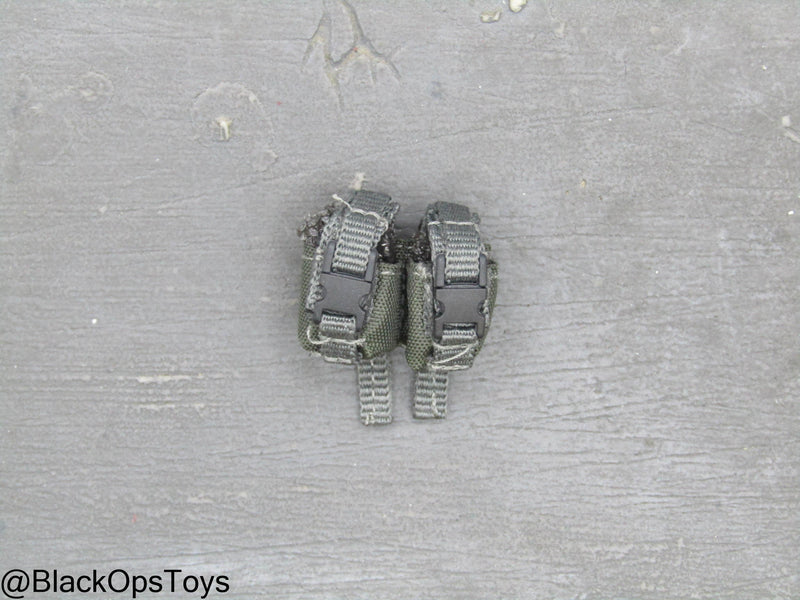 Load image into Gallery viewer, ZERT AMG Juggernaut - Wolf Grey MOLLE Dual Cell Frag Grenade Pouch

