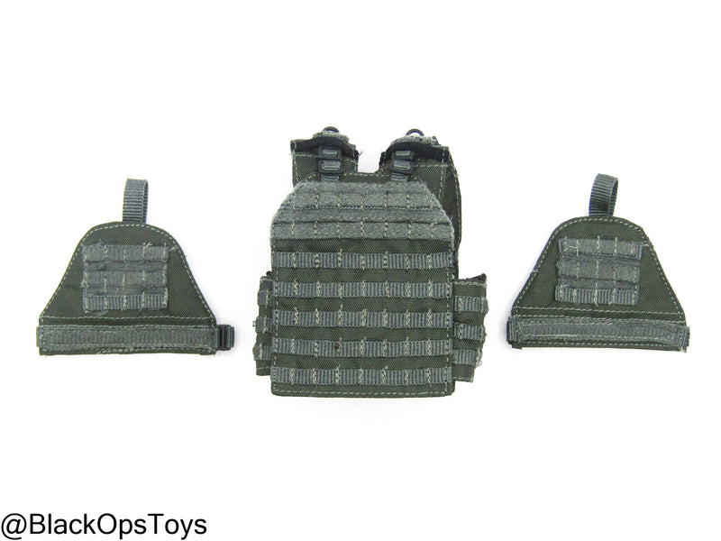 Load image into Gallery viewer, ZERT AMG Juggernaut - Wolf Grey MOLLE Plate Carrier Set Type 2
