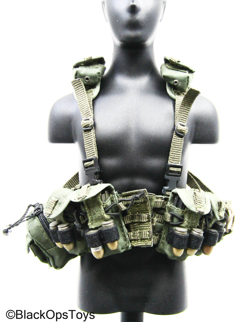 Load image into Gallery viewer, OD Green MOLLE Chest Rig w/40mm Grenade Rounds, Mag, &amp; Pouch Set
