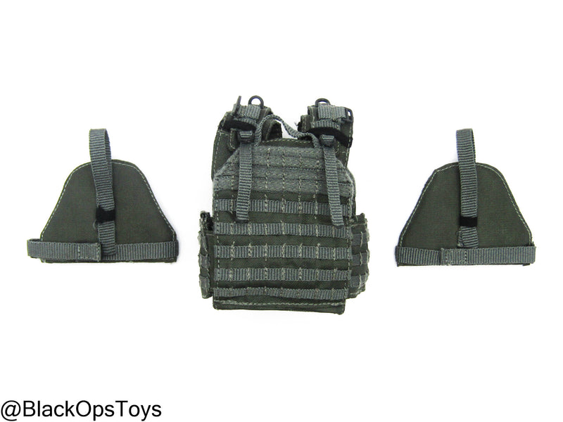 Load image into Gallery viewer, ZERT AMG Juggernaut - Wolf Grey MOLLE Plate Carrier Set Type 2
