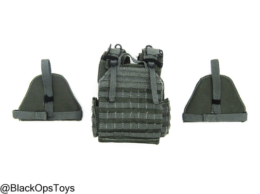 ZERT AMG Juggernaut - Wolf Grey MOLLE Plate Carrier Set Type 2