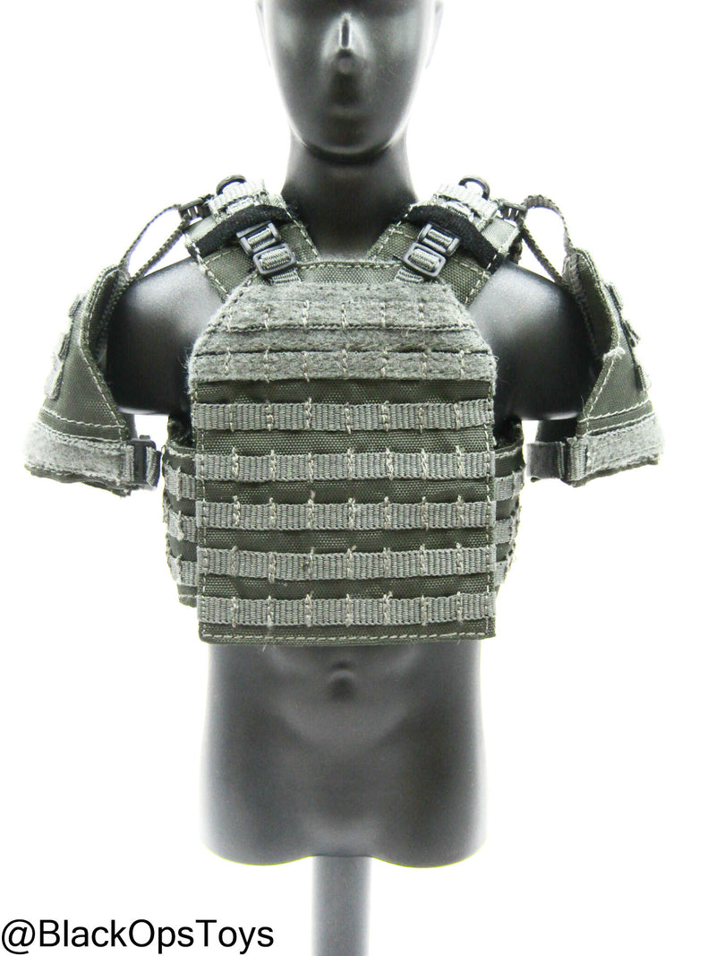 Load image into Gallery viewer, ZERT AMG Juggernaut - Wolf Grey MOLLE Plate Carrier Set Type 2
