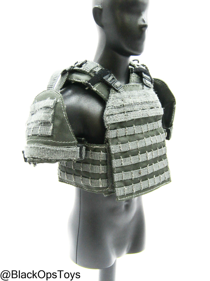 Load image into Gallery viewer, ZERT AMG Juggernaut - Wolf Grey MOLLE Plate Carrier Set Type 2
