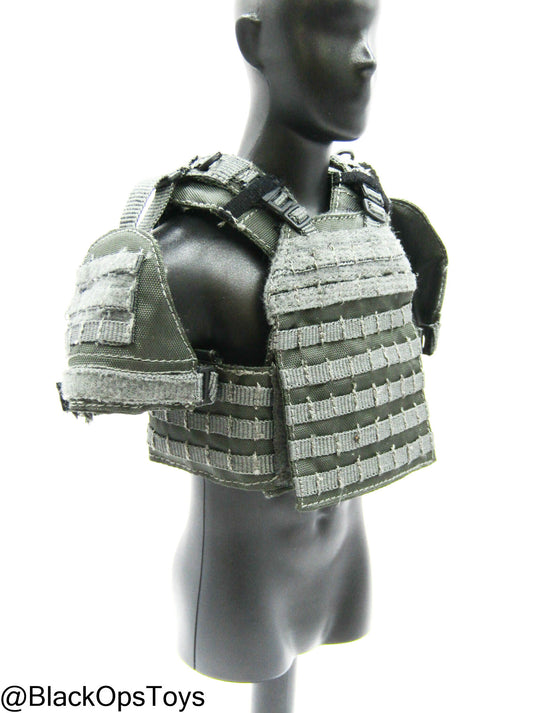 ZERT AMG Juggernaut - Wolf Grey MOLLE Plate Carrier Set Type 2