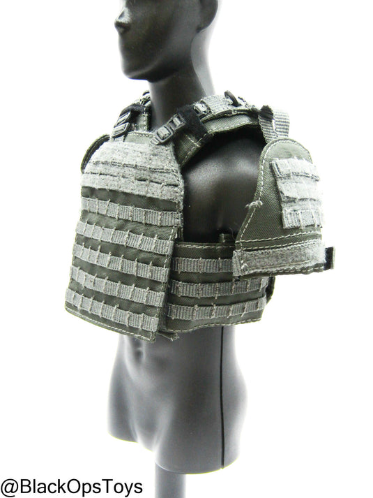 ZERT AMG Juggernaut - Wolf Grey MOLLE Plate Carrier Set Type 2