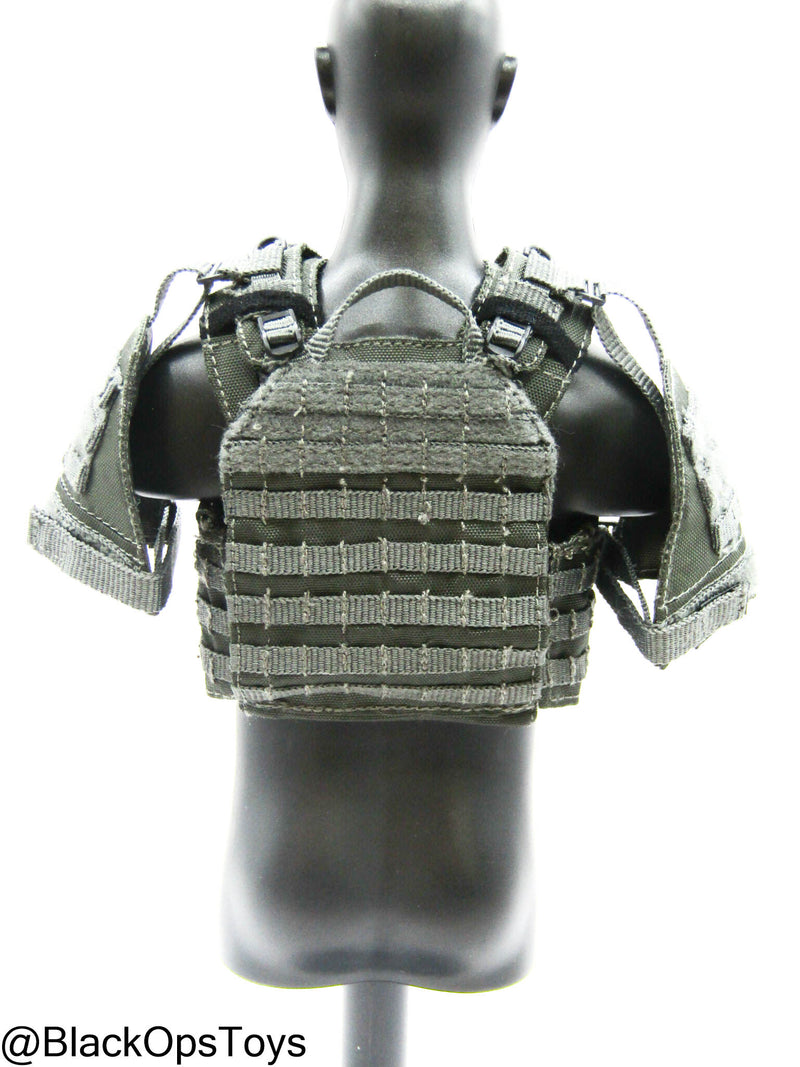 Load image into Gallery viewer, ZERT AMG Juggernaut - Wolf Grey MOLLE Plate Carrier Set Type 2
