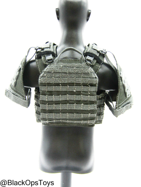 ZERT AMG Juggernaut - Wolf Grey MOLLE Plate Carrier Set Type 2