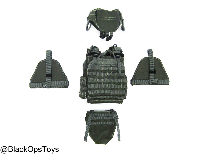 Load image into Gallery viewer, ZERT AMG Juggernaut - Wolf Grey MOLLE Plate Carrier Set Type 1
