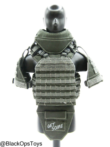 ZERT AMG Juggernaut - Wolf Grey MOLLE Plate Carrier Set Type 1
