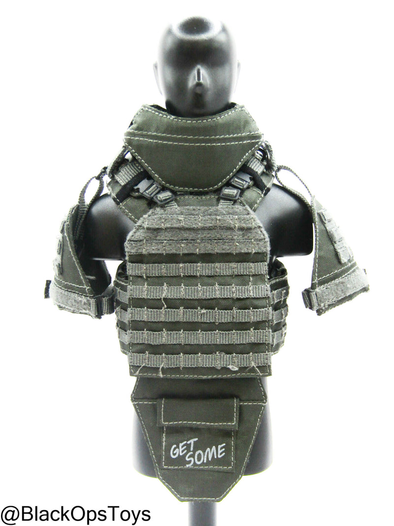 Load image into Gallery viewer, ZERT AMG Juggernaut - Wolf Grey MOLLE Plate Carrier Set Type 1

