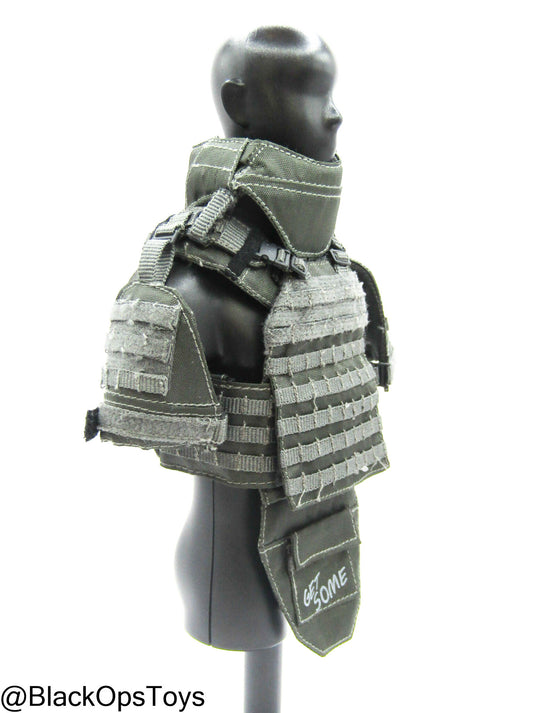 ZERT AMG Juggernaut - Wolf Grey MOLLE Plate Carrier Set Type 1