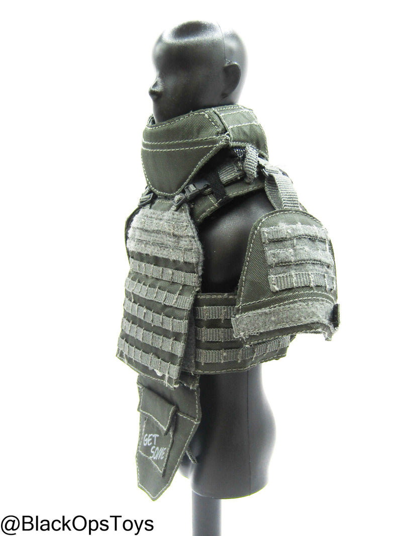 Load image into Gallery viewer, ZERT AMG Juggernaut - Wolf Grey MOLLE Plate Carrier Set Type 1
