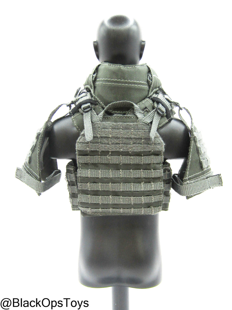 Load image into Gallery viewer, ZERT AMG Juggernaut - Wolf Grey MOLLE Plate Carrier Set Type 1
