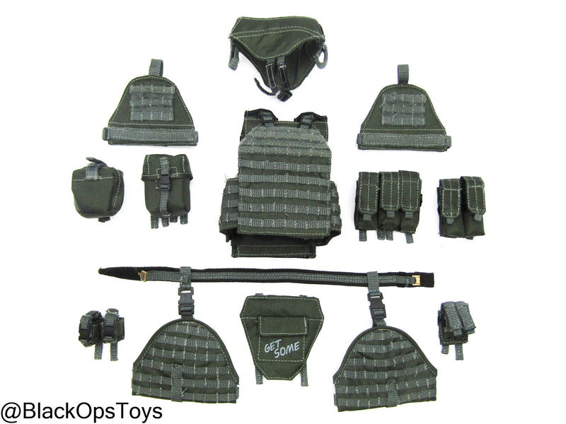 Load image into Gallery viewer, ZERT AMG Juggernaut - Wolf Grey MOLLE Plate Carrier &amp; Pouch Set
