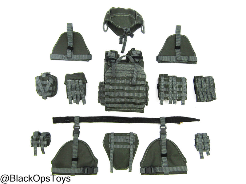 Load image into Gallery viewer, ZERT AMG Juggernaut - Wolf Grey MOLLE Plate Carrier &amp; Pouch Set

