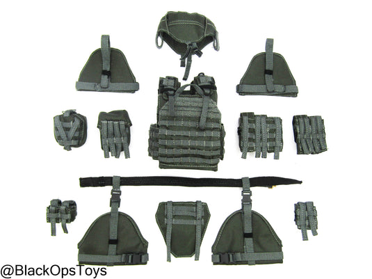 ZERT AMG Juggernaut - Wolf Grey MOLLE Plate Carrier & Pouch Set