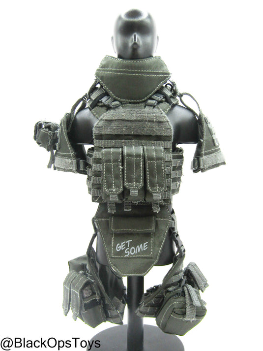 ZERT AMG Juggernaut - Wolf Grey MOLLE Plate Carrier & Pouch Set